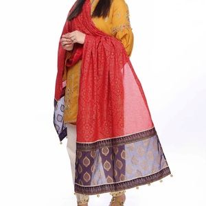 BNWT Pakistani Rang Ja dupatta